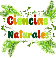 cienciasnaturalesambato2024.milaulas.com